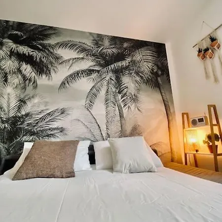 *villa Adelaide* Cocotier Vichy
